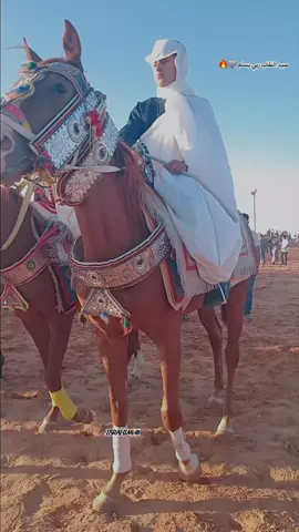 عينكم ع النقاب#اعادة_النشر🔃 #الرقم_الصعب🔥👑 #خيل_وخياله🐎 