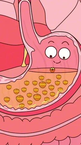 #animation #funny 