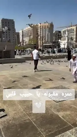 عمره مقبوله باذن الله يا حبيب قلبي ترجع بلسلامه 🤍 #بوجي #عمره_مقبوله_باذن_الله #مكه #مكه_المكرمه_المملكه_العربيه_السعوديه @Mohamd Masoud 