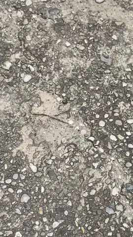 1 klip nya kakak💃🏻#fyp #beatstylekt #stylekt #apajakoo🤙 #beatesp 