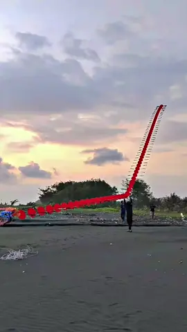 kudu kuat Mergo angine guwedi💪 #fy #layangannaga #viraltiktok #fyppppppppppppppppppppppp 
