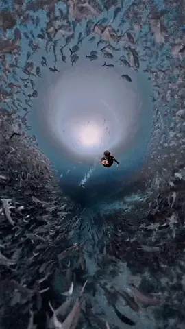 After 3 attempts, naka Jacks rajud. 🎥 : @d.jaypz on IG  ⛺️ : @BOYA Freediving  ⛺️ : @Tamban Freediving 