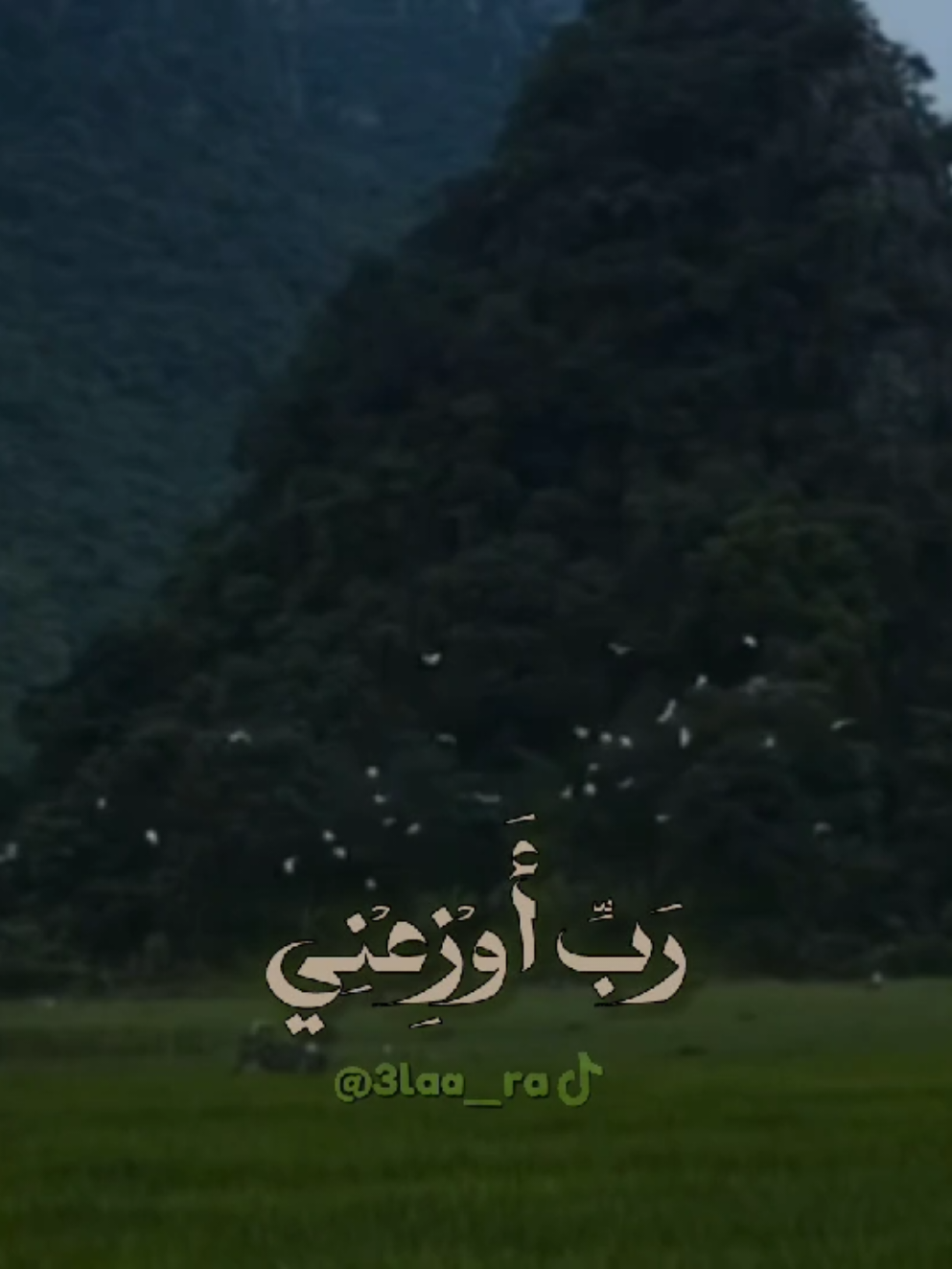 سورة النمل | الآيه ١٩ الشيخ كامل يوسف البهتيمي رحمه الله  ------------- { فَتَبَسَّمَ ضَاحِكࣰا مِّن قَوۡلِهَا وَقَالَ رَبِّ أَوۡزِعۡنِیۤ أَنۡ أَشۡكُرَ نِعۡمَتَكَ ٱلَّتِیۤ أَنۡعَمۡتَ عَلَیَّ وَعَلَىٰ وَ ٰ⁠لِدَیَّ وَأَنۡ أَعۡمَلَ صَـٰلِحࣰا تَرۡضَىٰهُ وَأَدۡخِلۡنِی بِرَحۡمَتِكَ فِی عِبَادِكَ ٱلصَّـٰلِحِینَ } ------------- . . . . . #3laa_ra #fyp  #quran #قرآن  #الشيخ_كامل_يوسف_البهتيمي