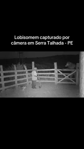 Lobisomem capturado por imagens de uma câmera em Serra Talhada - PE