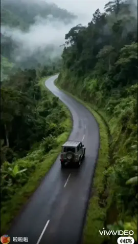 Tình Cổ _Hà Dục #thamkienthanh #tinhco #lyngotrach #foryou #viral?videotiktok😇😇 