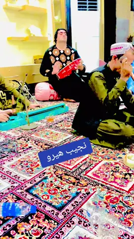 نجیب ھیرو   او کچنی  کاکا  واوری 