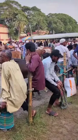 Aha ki kosto re🥲🤣🫶#foryou #foryoupage #viral #unfrezzmyaccount #bdtiktokofficial🇧🇩 