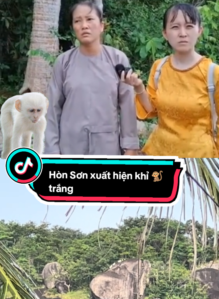 Hòn Sơn xuất hiện khỉ Bạch Tạng #🐒🐒🐒🐒 #mathiênlãnh #hònsơn #xh #viral 