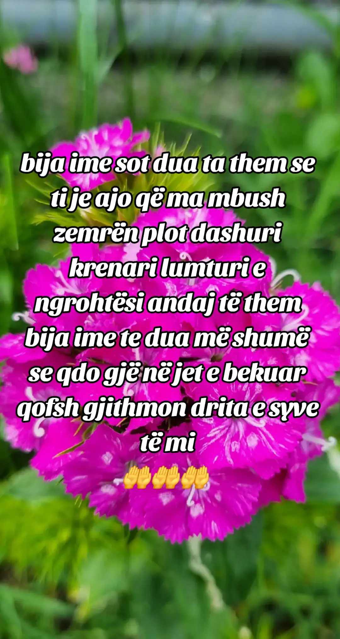 #bijaime #shembull #kosova🇽🇰 #dashuri #vajzatshqiptare 