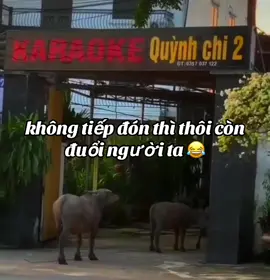 #xuhuong #xuhuongtiktok #xuhuong2025 #xuhungtiktok2025 