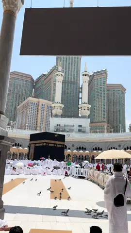 #خطبة_صلاة_الجمعه_الشيخ_عبدالرحمن 