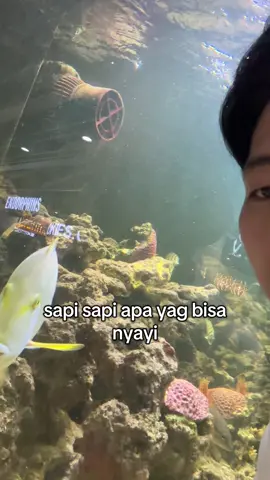 dapat temen baru nih guyss  #fyp @ikandori🐟 