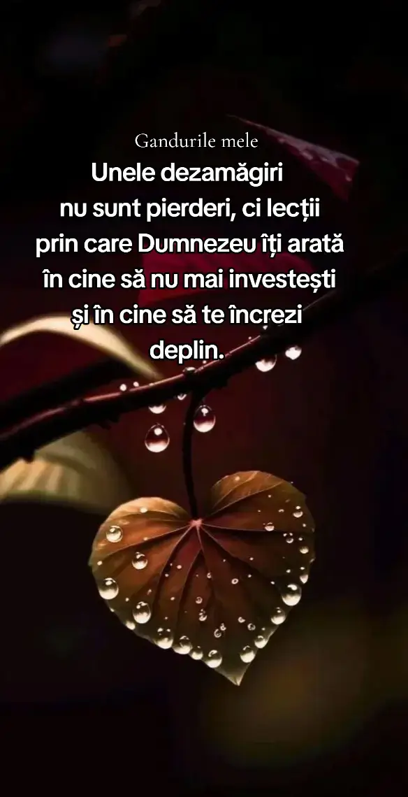 #gandurilemele 