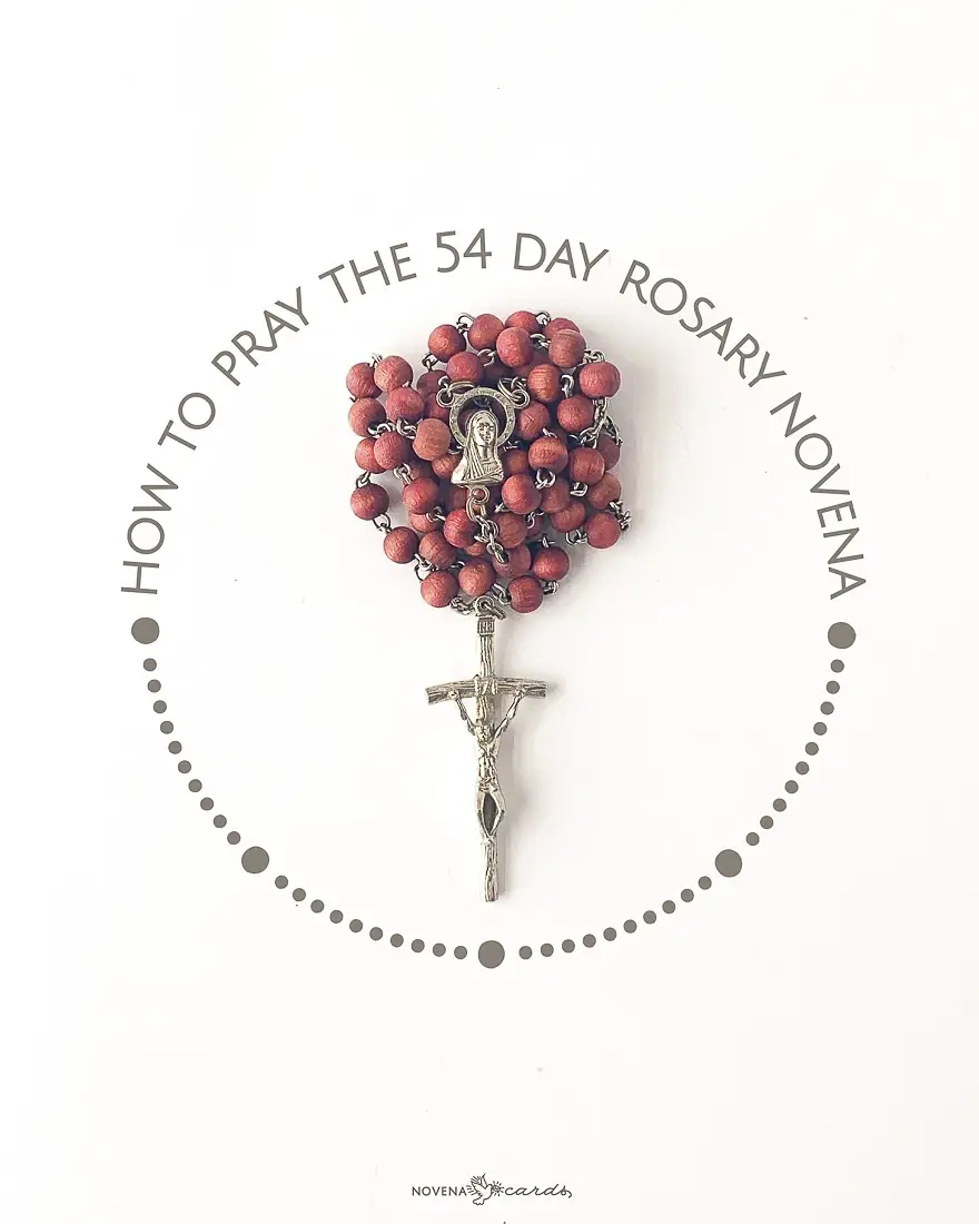 The Catholic Rosary Novena 🙏💐🌹✨ is one of the most powerful and beautiful devotions in the Catholic Church ⛪💖. It is prayed for nine consecutive days 🕊️ with a special intention — such as healing, thanksgiving, forgiveness, or divine guidance 🌈🕯️. Each Hail Mary and mystery draws the heart closer to Jesus Christ ✝️💞 through the loving intercession of the Blessed Virgin Mary 💙👑. The Rosary Novena is not just a prayer but a journey of faith, peace, and transformation 🌟🙌 that fills the soul with grace and spiritual joy 😇💫. For youths, the Rosary Novena 🌹🧎🏽‍♀️🧎🏽‍♂️ is a refreshing way to find peace amidst the noise of the modern world 📱💭🌍. It teaches patience, discipline, and devotion 💪🕊️ as they commit to nine days of prayer. During this time, they can meditate on God’s love ❤️🔥, reflect on their purpose 🎯, and grow in spiritual strength 💫💪. In a world full of stress and confusion 😔🌪️, this Novena becomes a quiet light 💡✨ guiding young hearts back to Jesus and Mary 💒🌈. The Rosary Novena also helps youths grow in holiness and virtue 🌹💖. Each set of mysteries — Joyful 😊, Sorrowful 😢, Glorious 🌟, and Luminous 💎 — teaches valuable lessons about love 💞, humility 🙏, sacrifice ✝️, and hope 🌈. By meditating on these mysteries, young Catholics learn to walk with faith even in hard times 🌅🕊️. This prayer becomes a school of life 📖✨ — shaping their hearts to be kind, humble, and strong in faith 🙌💫. In addition, the Rosary Novena builds unity and friendship among youths 🤝💞. When prayed together in groups 🧎‍♀️🧎‍♂️⛪, schools 🎓, or youth movements 🌍, it creates a sense of belonging and spiritual family 💕. Sharing intentions, songs 🎶, and reflections 💭 strengthens their bond and renews their commitment to serve God and others 🌹✨. It inspires them to be proud Catholic youths who live their faith boldly 💪🔥 and joyfully 😇💖. Finally, the Rosary Novena transforms lives 🌈🌺💫. Many young people experience inner peace 🕊️, answered prayers 🙌, and a renewed love for the Church ⛪💗. It reminds them that Mary 🌹👑 is always near — guiding, protecting, and praying for them 💙🙏. Through this powerful devotion, youths discover that prayer truly changes hearts ❤️🔥 and leads them to Jesus — the source of eternal joy 😇✨. #CatholicYouth 🌍 #RosaryNovena 🙏 #PrayWithMary 🌹 #FaithJourney 💒 #JesusAndMary 💖 @Gospel✝️✝️ @1/10 @Holyrosary 