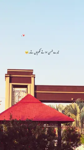 Mention Someone 🥹♥️🌿 #foryou #unfreezemyaccount #foryourpage #1millionaudition #poetry @𝙝𝙞𝙨 𝙦𝙪𝙚𝙚𝙣<3🌸🤍 