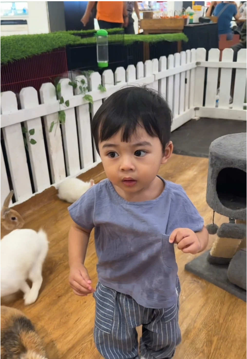 Papa arlo jail banget😩😭