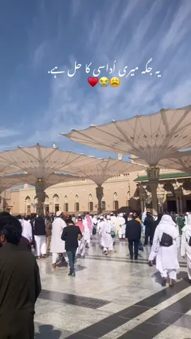 #Beshaq#مکە_المدینە_makkah_madinah #saudia #Allhamdulillah #muslimlife 