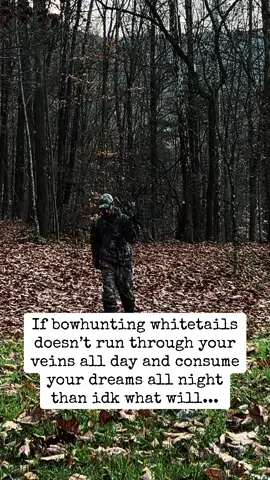 If bowhunting whitetails doesn’t run through your veins all day and consume your dreams all night than idk what will.. #addictedtohunting #whittaildeer #huntingtiktok #frozentimber #bowhunting 