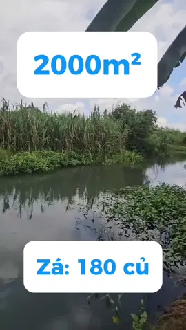 đất vườn đẹp #bds #datvuon 