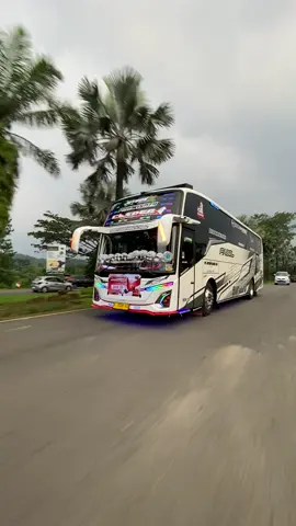 lagi ngebut ngebut nya@casper 050 #bus #ngoyodbus #fy #fyp #fyp 
