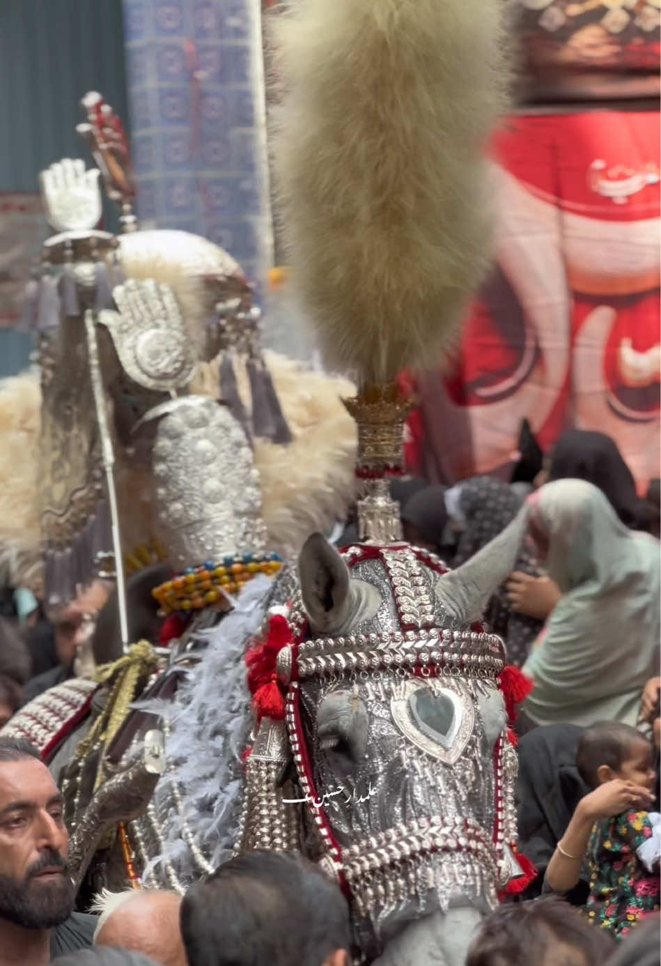 Markazi ShabiheZuljinah AshalBadshah🙌🏻 Rawalpindi . . ChehlumProcession2k25 TelliMuhallah rwp . . #zuljanah #zuljinah #zuljinah_mola_imam_hussain_as #zuljanah_imam_hussain #alamdarehussain؀ 