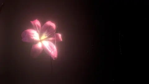 مخاطب تیکتاک نداره.