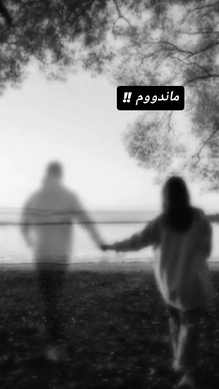 #creatorsearchinsights #creatorsearchinsights #raste_lak #fypシ゚viral #foryou 