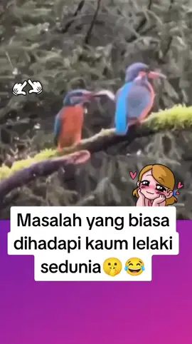 Bila kekasih mula merajuk🤒🤕 #perempuan #merajuk #fyppppppppppppppppppppppp #videoviral #lelaki 