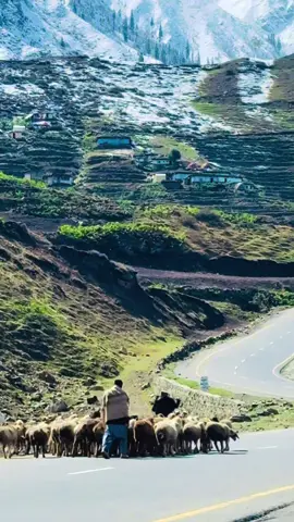 Hometown 🏔️❤️#foryou #foryoupage #viral #trending #kaghanvalley 