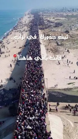 #ثبت_جذورك_في_التراب_فانت_باق_ها_هنا 🩶#غزة_العزة🇵🇸 #غزة #وقف_الحرب #انتهت #انتصرت_غزة #اviral #ترند #اكسبلورexplore #تصميم_فيديوهات🎶🎤🎬 #flypシ #gaza #اهل_غزة #صالح_الجعفراوي 
