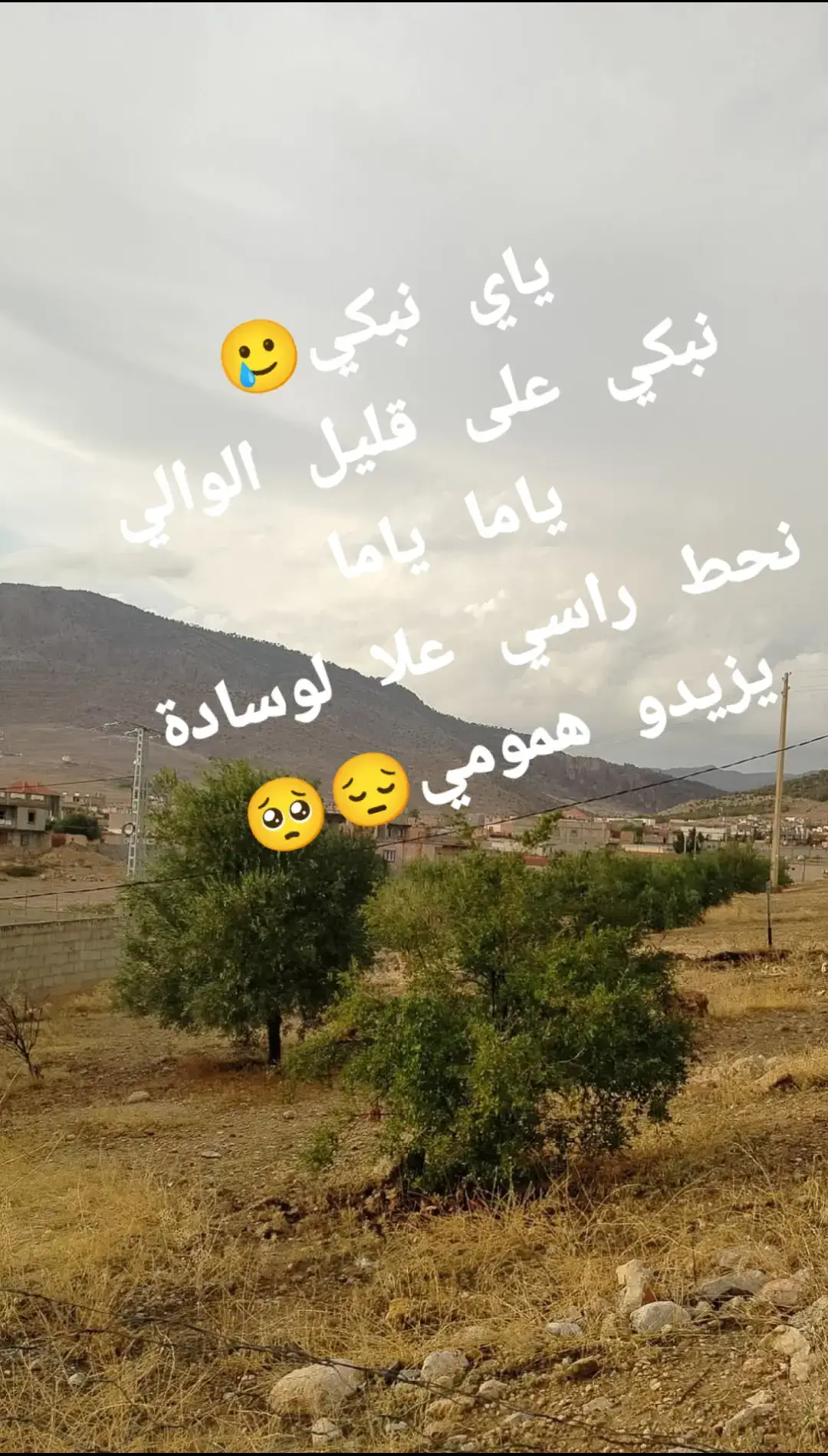 #تحيا58 ولاية🇩🇿♥️🫡🇩🇿🫶🫶#