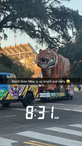 #LSU fans getting ready EARLY before #SouthCarolina .. 