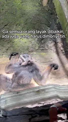 agree?#CapCut #fyp #tiktok 