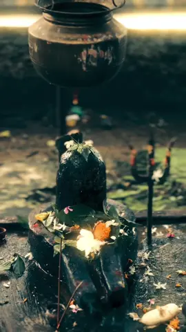 BaBa🕉️🥺 #mahadev #bholenath #shiva #meme #hanuman 