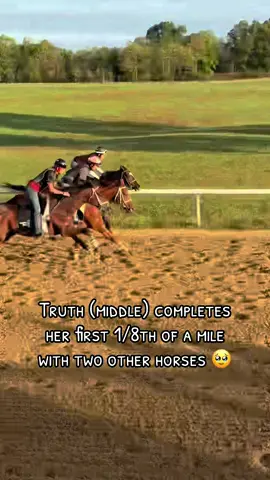 Go Little Rockstar🥹💜   Truth From A Dare trained by @J.A.Hiles Owned by @Ryan Campbell, Myself and @morriscbb, and @kenedi (Risen Storm Thoroughbreds) #horsetok #racehorsesoftiktok #horseracing #orphanfoal #horsetraining 