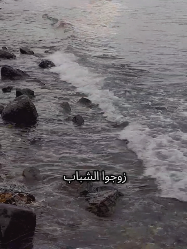 زوجوا الشباب إرحموا الشباب إتقوا الله في الشباب ولا تكونوا عوناً للشيطان عليهم  بغلاء المهوركم من شاب ضاع زهرة عمره  في الغربة يجمع مهر الزواج فلم يقدر #اسطنبول #تركيا #الغربة #شعروقصايد #PaidPartnership 