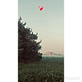 #Umar tba ho gai ❤️‍🩹#fyp #100k #❤️سوہناپنجاب #پینڈاں_آل #viral #foryoupage 