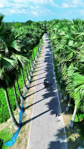 ঐশ্বরিক সৌন্দর্যে ভরা ঘুঘুডাঙ্গা তালগা।#everyoneシ゚ #vairalvideo #foryouシ #dronevideo #trending 