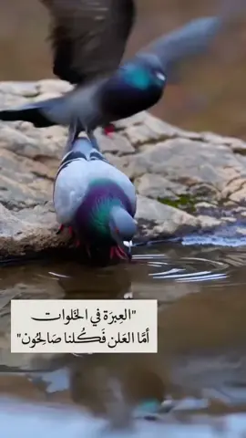 لاتكن ازدواجي الشخصية كن واضحاً في كل اوقاتك