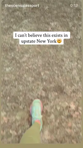 #goomorning #fallfoliage #fypシ #fypシ゚viral 