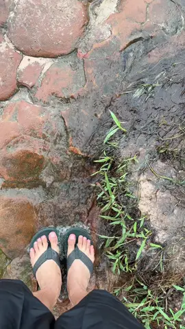 ⛰️🌿อยากเติมป่า