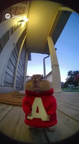 When Alvin called for Dave, but Mother Nature answered instead 💨🐿️ #SoraAI #RingDoorbell #Alvin #Chipmunk #FunnyAnimals 