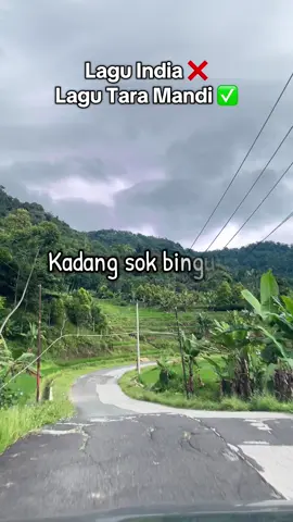 Geura aribak heula ngarah teu bau kelek 🤭#laguindia #lagusunda #trend 