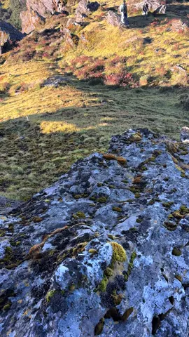 #cherdung ❤️#jirinepal🇳🇵 