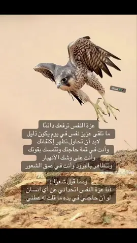 #fypシ゚ #explor #اكسبلور #fypシ゚viral🖤tiktok #السعودية 