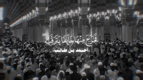تلاوة خاشعة للشيخ أحمد بن طالب من سورة القصص، تحكي رحلة موسى عليه السلام من الخوف والاغتراب إلى الأمان والاطمئنان.. درس عظيم بأن من توكل على اللّٰه لن يخذله أبدًا. #تلاوة_تهز_القلوب  #أحمد_بن_طالب #سورة_القصص