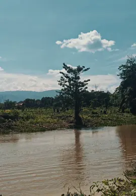 pemula🤣 #fyp #mancing 