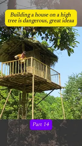 🌳 😱Crazy but awesome idea – Tall tree house!#bamboohouse #nature #diyproject #viralvideo #singlemom 