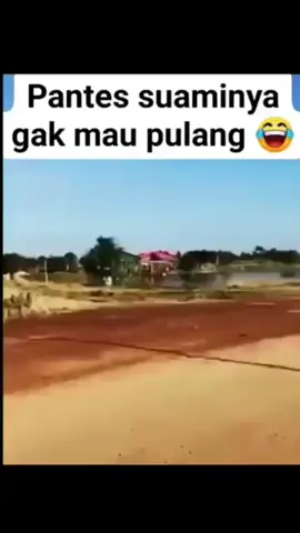 🤣🤣🤣🤣🤣🤣