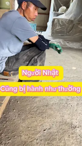 Người Nhật cũng bị hành như thường#cuocsongnhatban #nhattuan #nongnghiepnhatban #xuhuong 